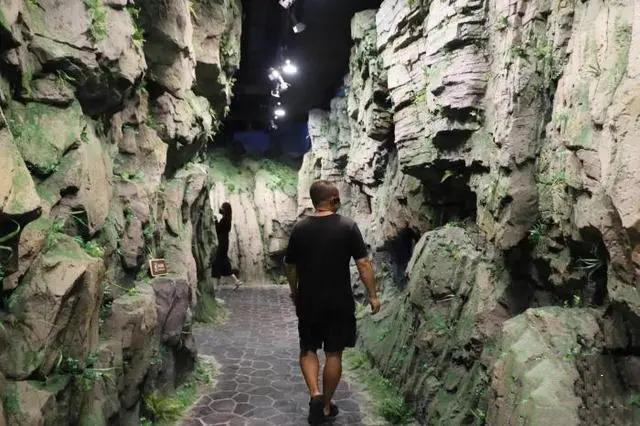 地質(zhì)博物館設(shè)計