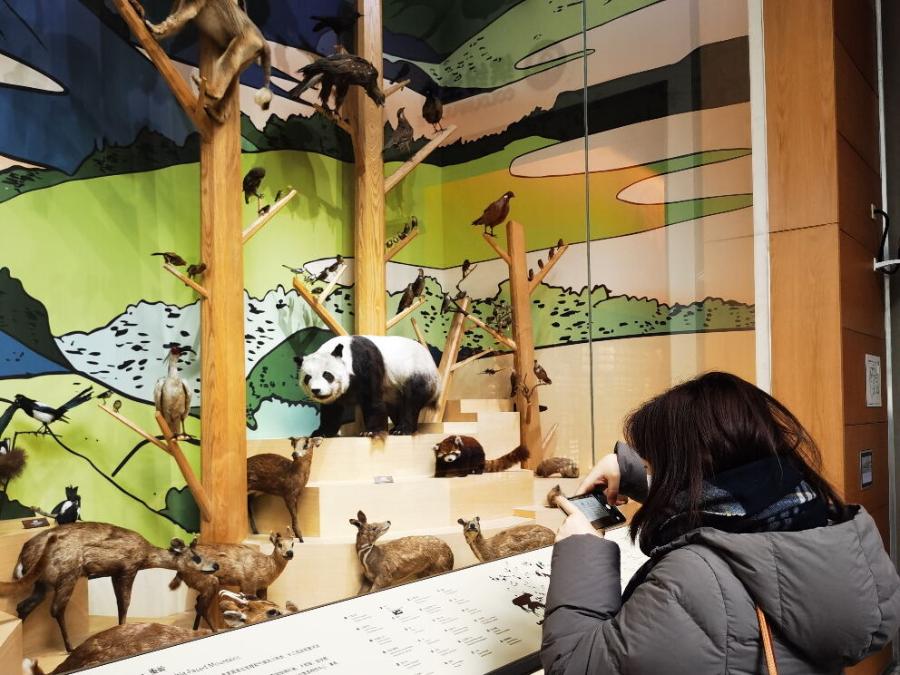 文化博物館設(shè)計(jì)