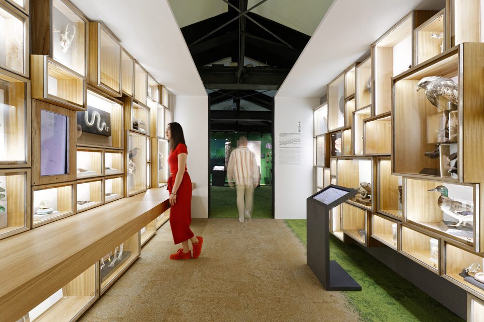 博物館設(shè)計(jì)