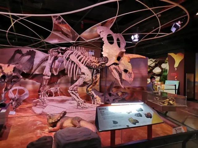 淺析自然科學博物館設(shè)計要求