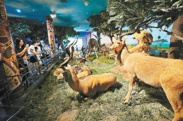 國(guó)家自然博物館新館規(guī)劃20萬平方米