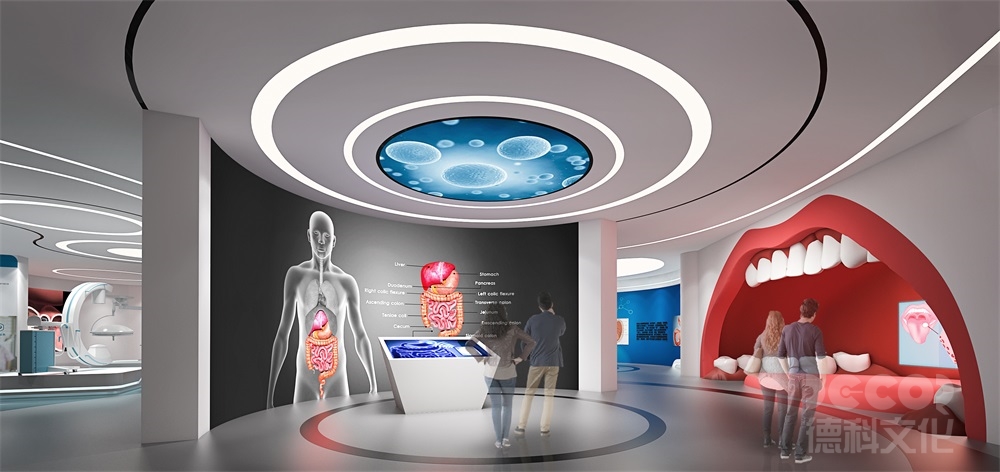 科技館設(shè)計如何劃分展區(qū)（如物理、生物、航天等）？